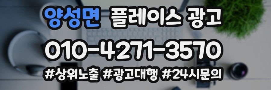양성면 플레이스 광고