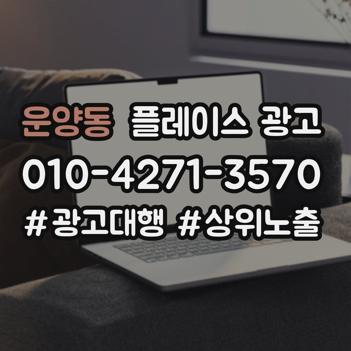 운양동 플레이스 광고