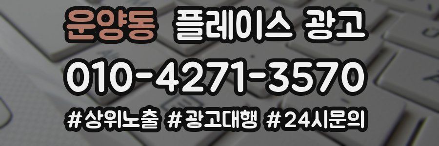 운양동 플레이스 광고