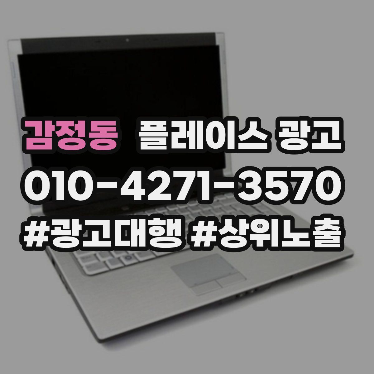 감정동 플레이스 광고