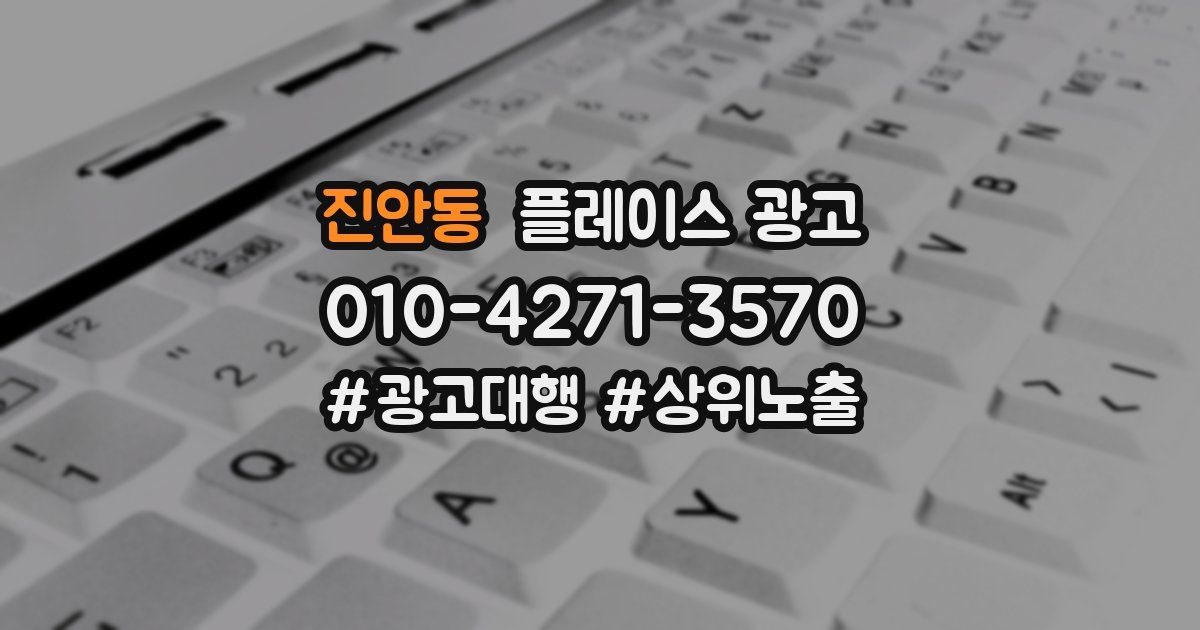 진안동 플레이스 광고