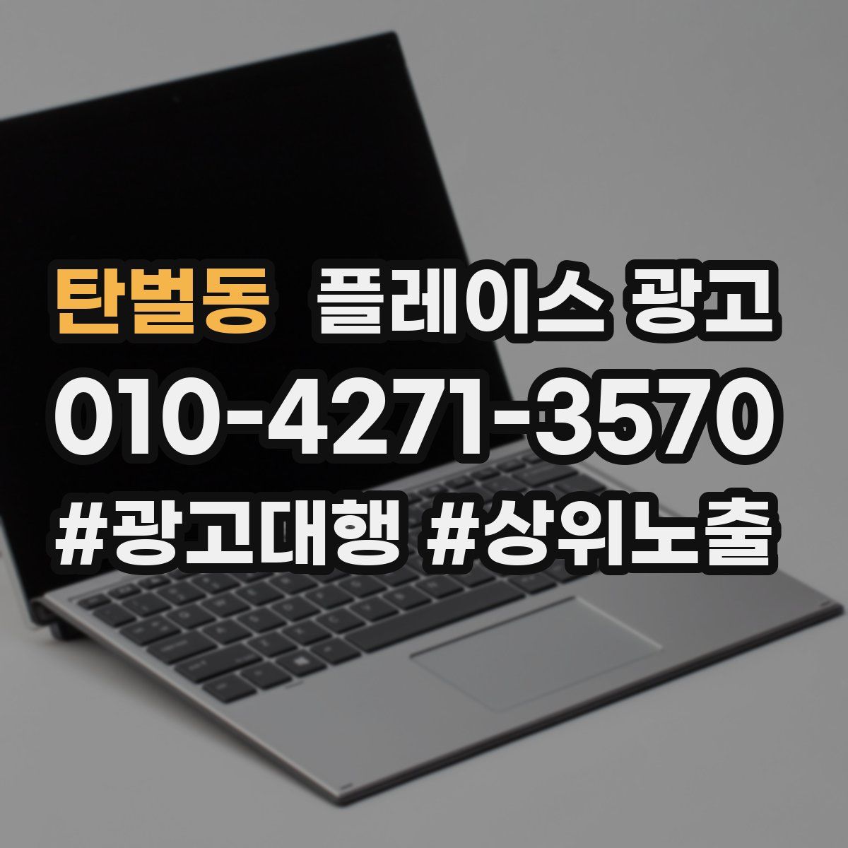 탄벌동 플레이스 광고