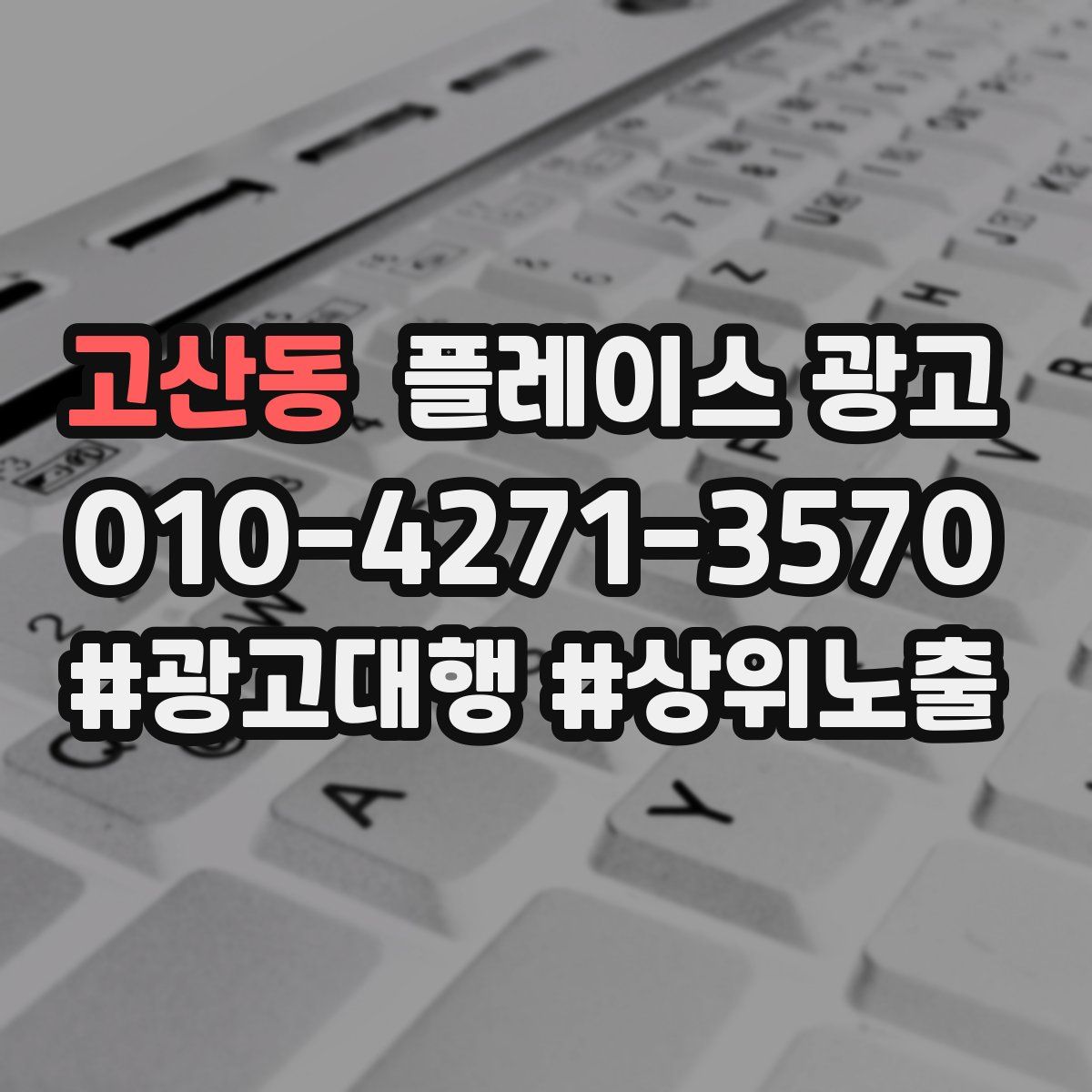 고산동 플레이스 광고