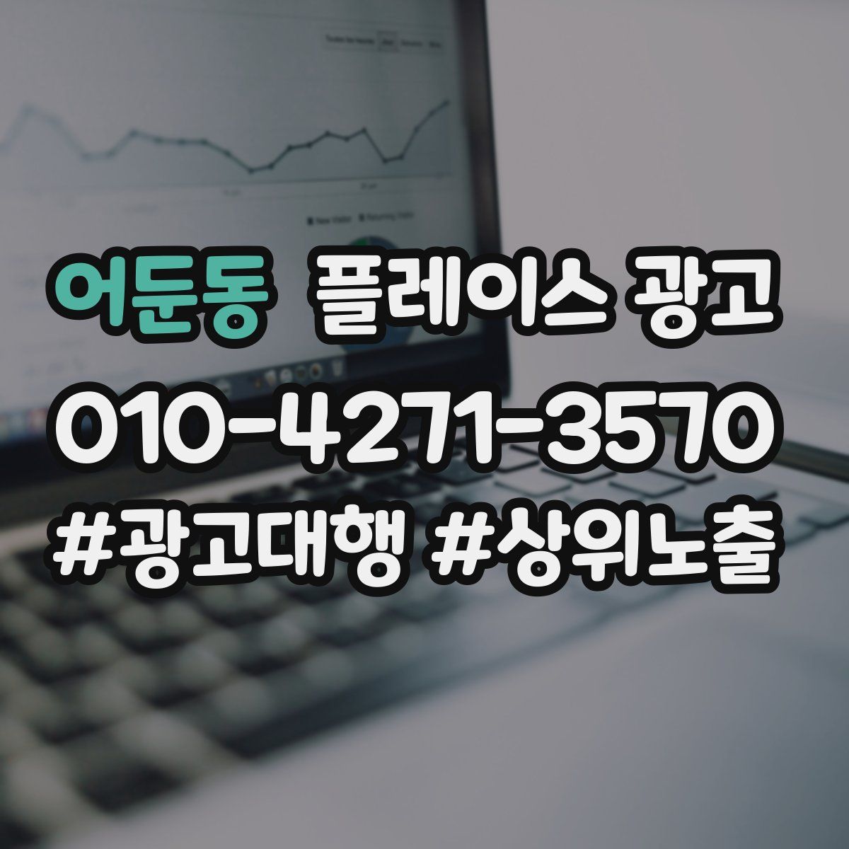 어둔동 플레이스 광고
