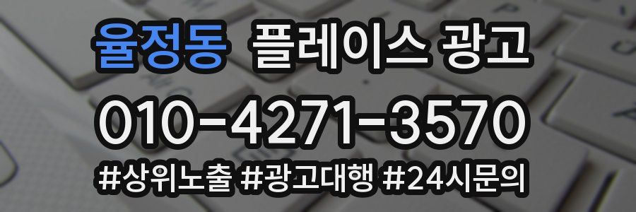율정동 플레이스 광고