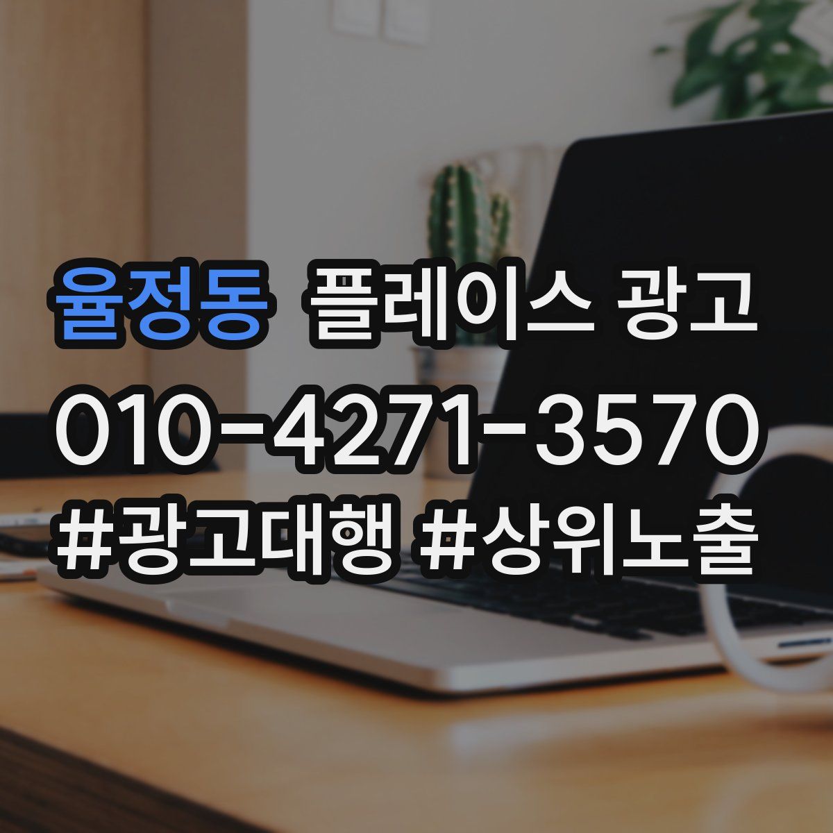 율정동 플레이스 광고