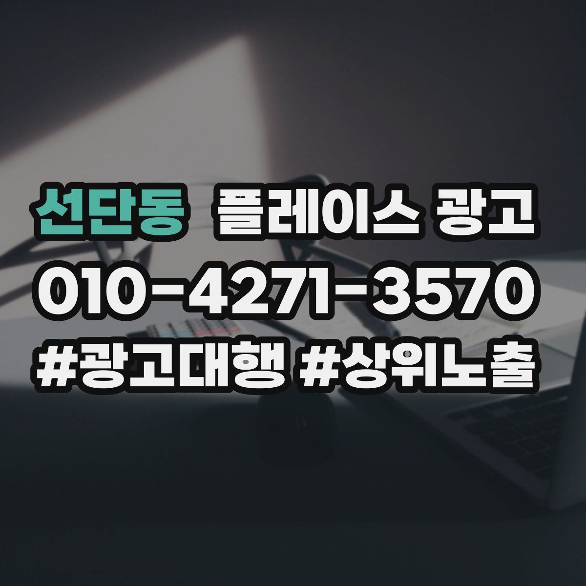 선단동 플레이스 광고