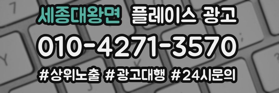 세종대왕면 플레이스 광고