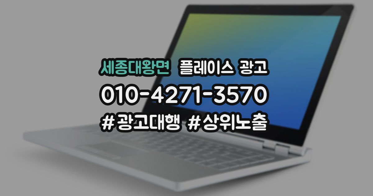 세종대왕면 플레이스 광고