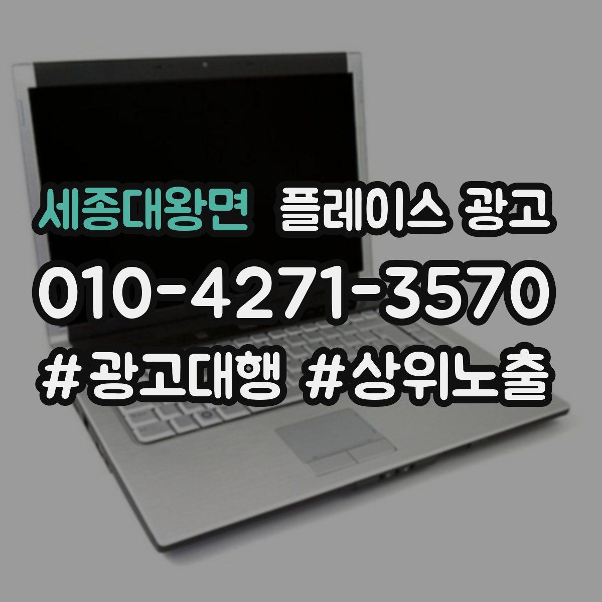세종대왕면 플레이스 광고