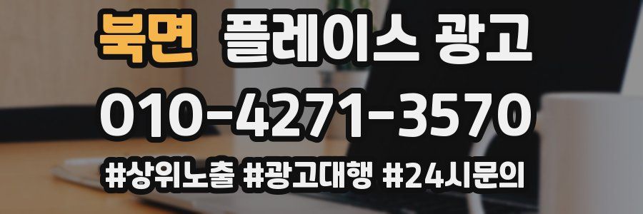 북면 플레이스 광고