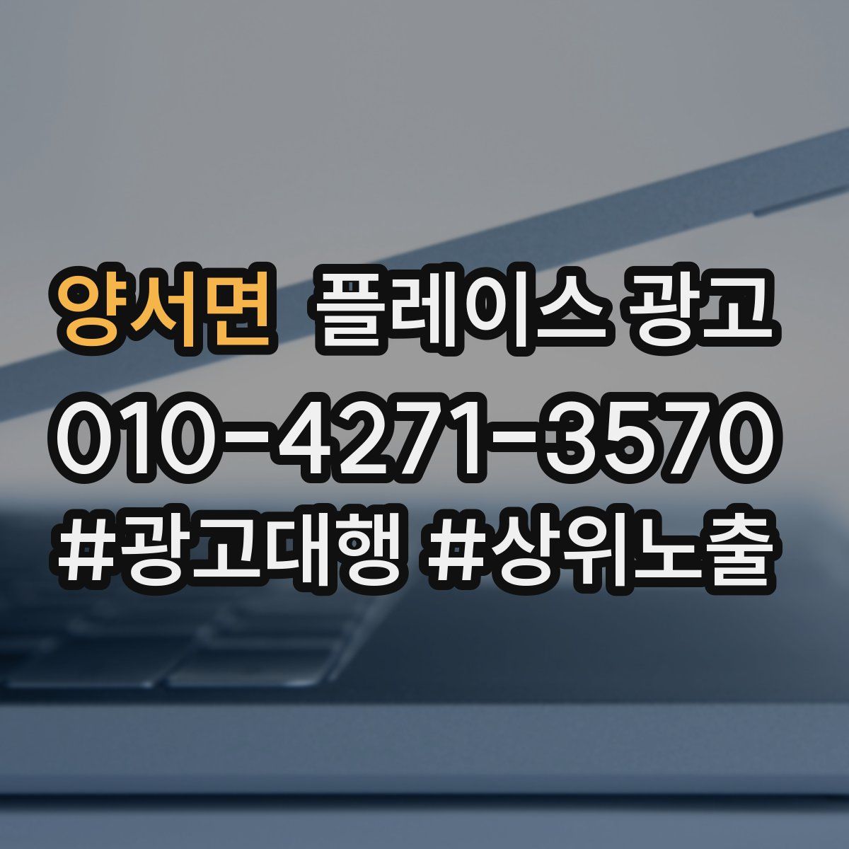 양서면 플레이스 광고