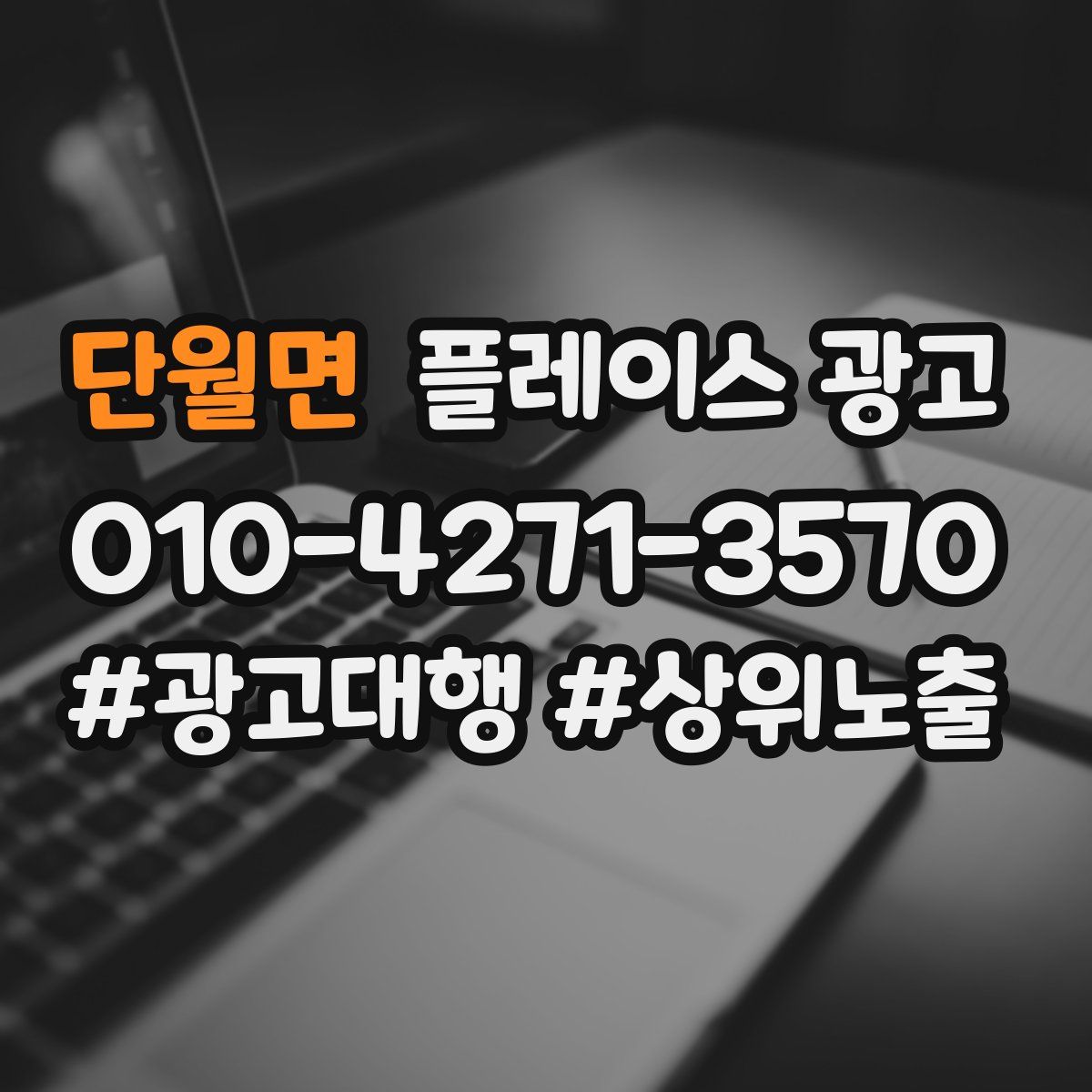 단월면 플레이스 광고