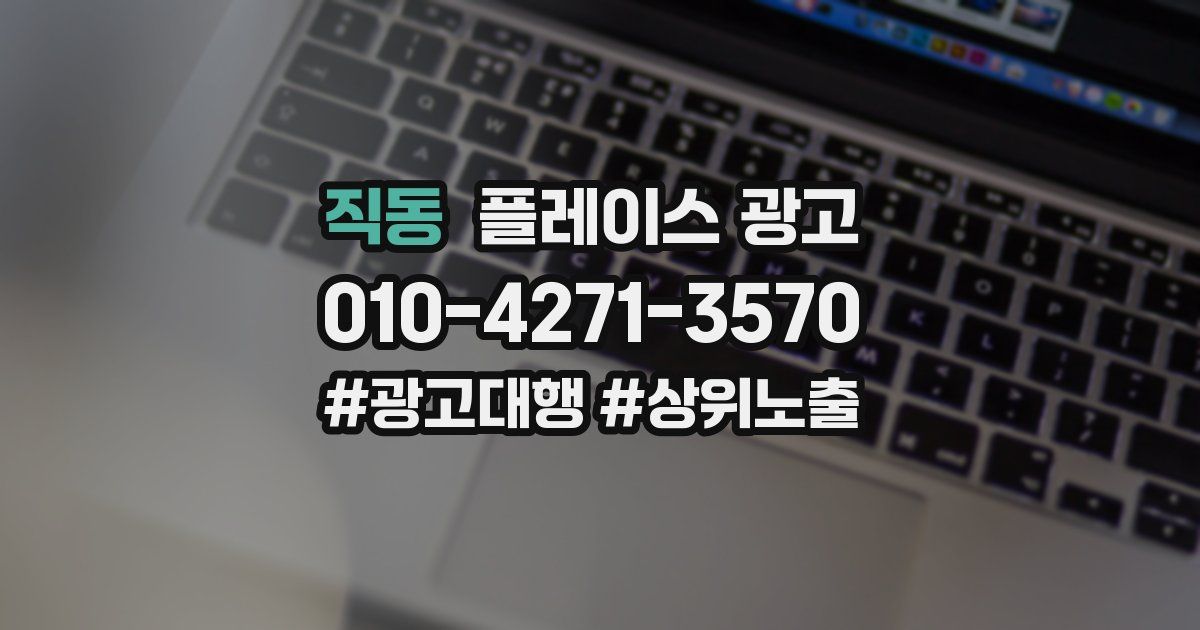 직동 플레이스 광고