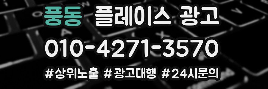 풍동 플레이스 광고