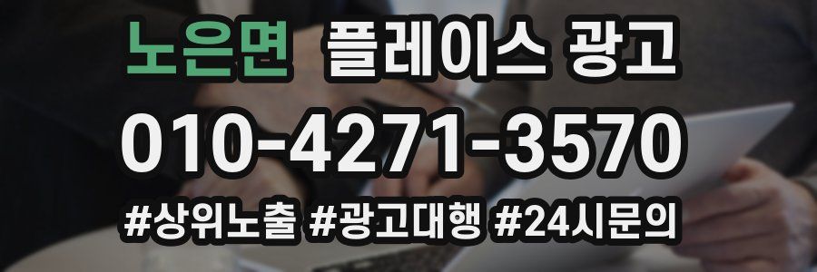 노은면 플레이스 광고