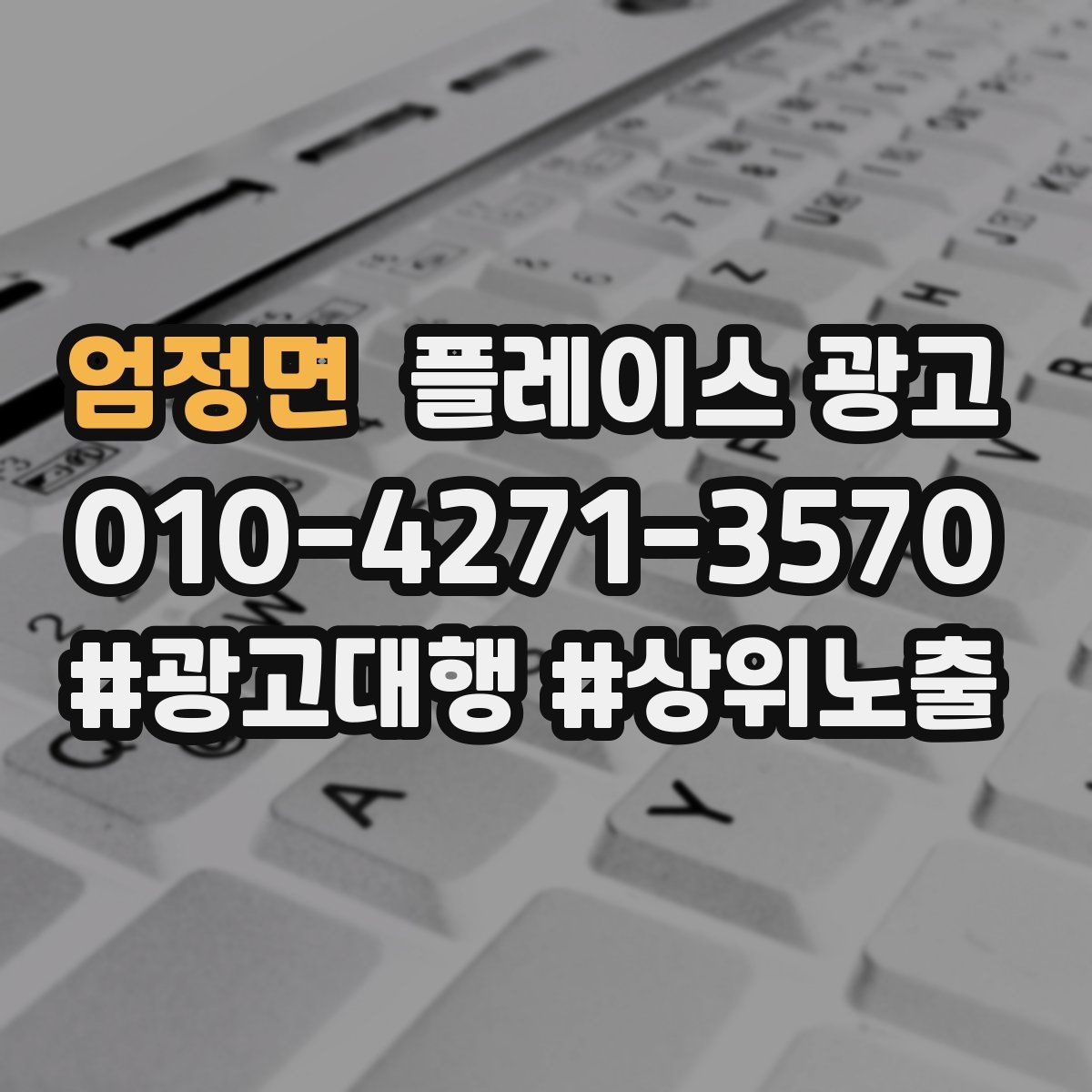 엄정면 플레이스 광고