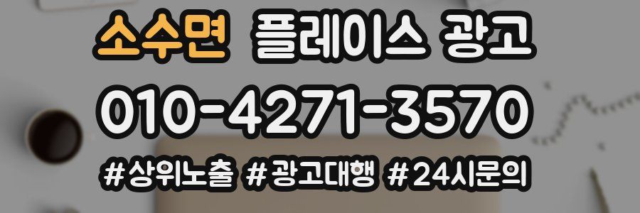 소수면 플레이스 광고