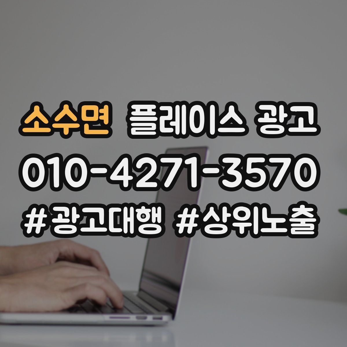 소수면 플레이스 광고