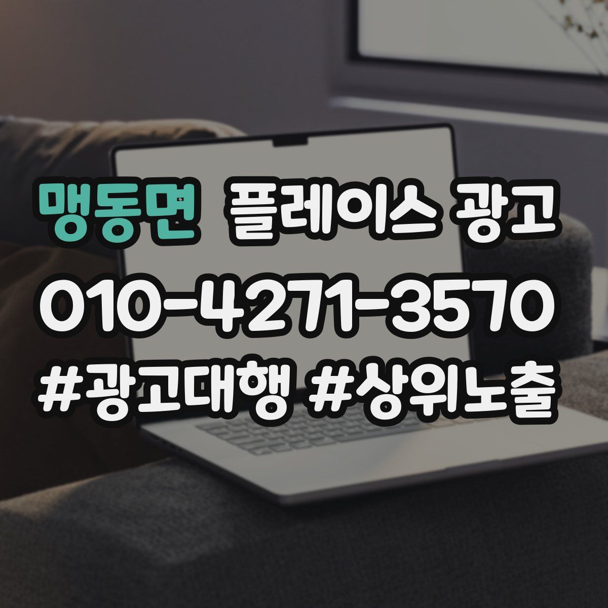 맹동면 플레이스 광고