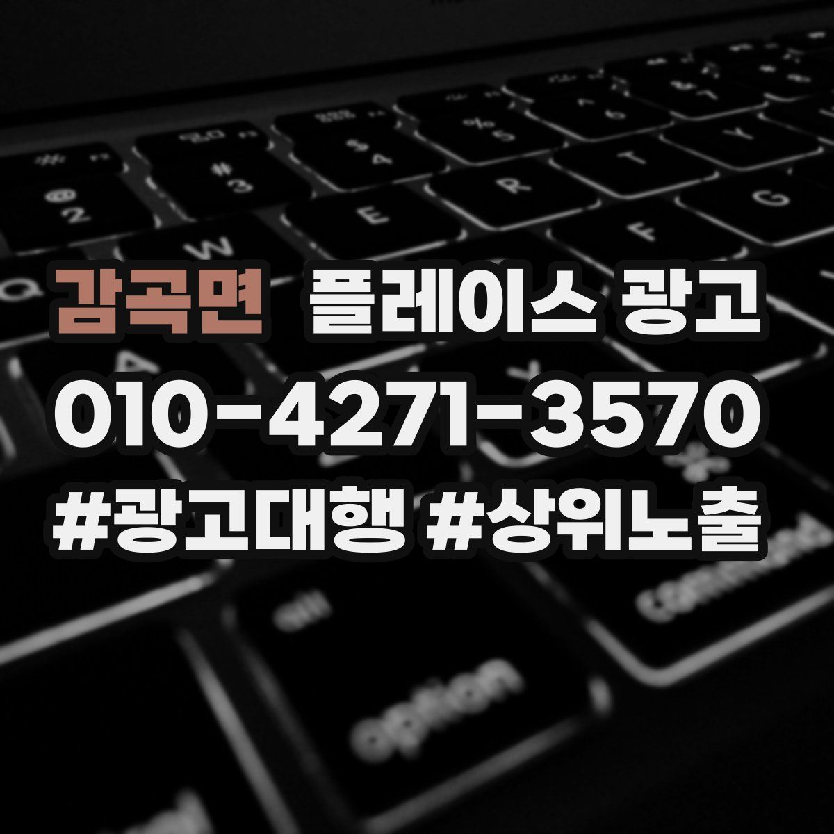 감곡면 플레이스 광고