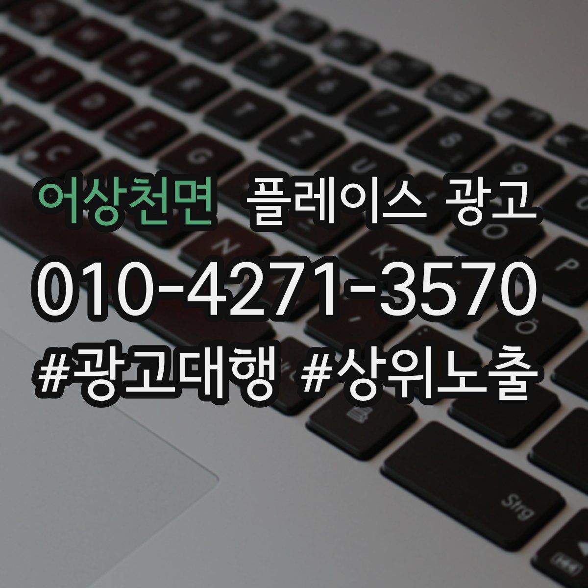 어상천면 플레이스 광고