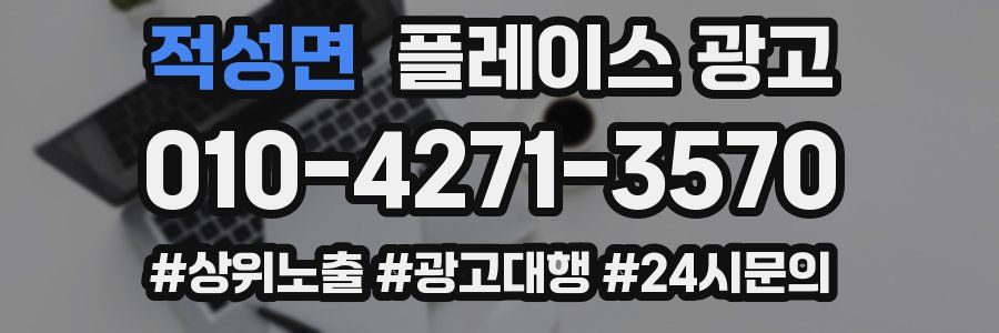 적성면 플레이스 광고