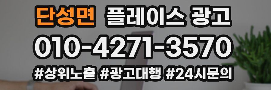 단성면 플레이스 광고