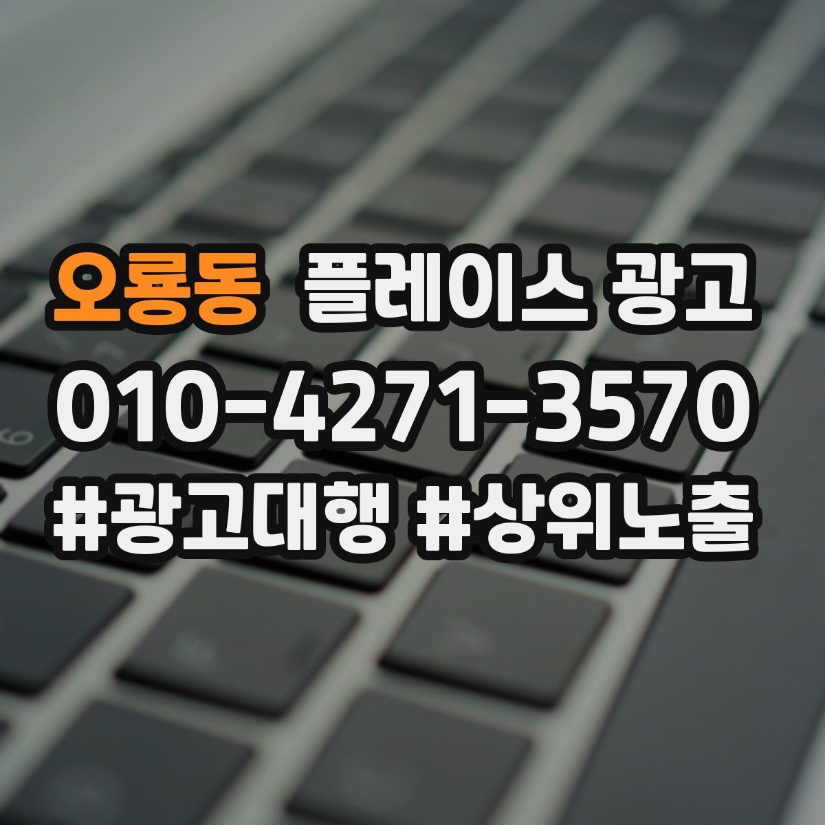 오룡동 플레이스 광고