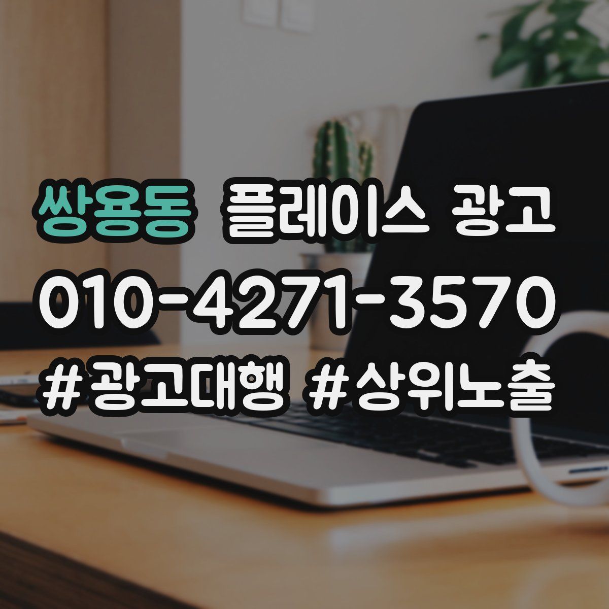 쌍용동 플레이스 광고