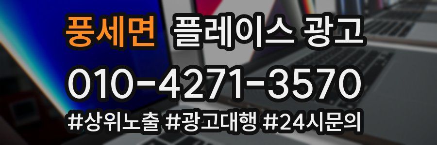 풍세면 플레이스 광고