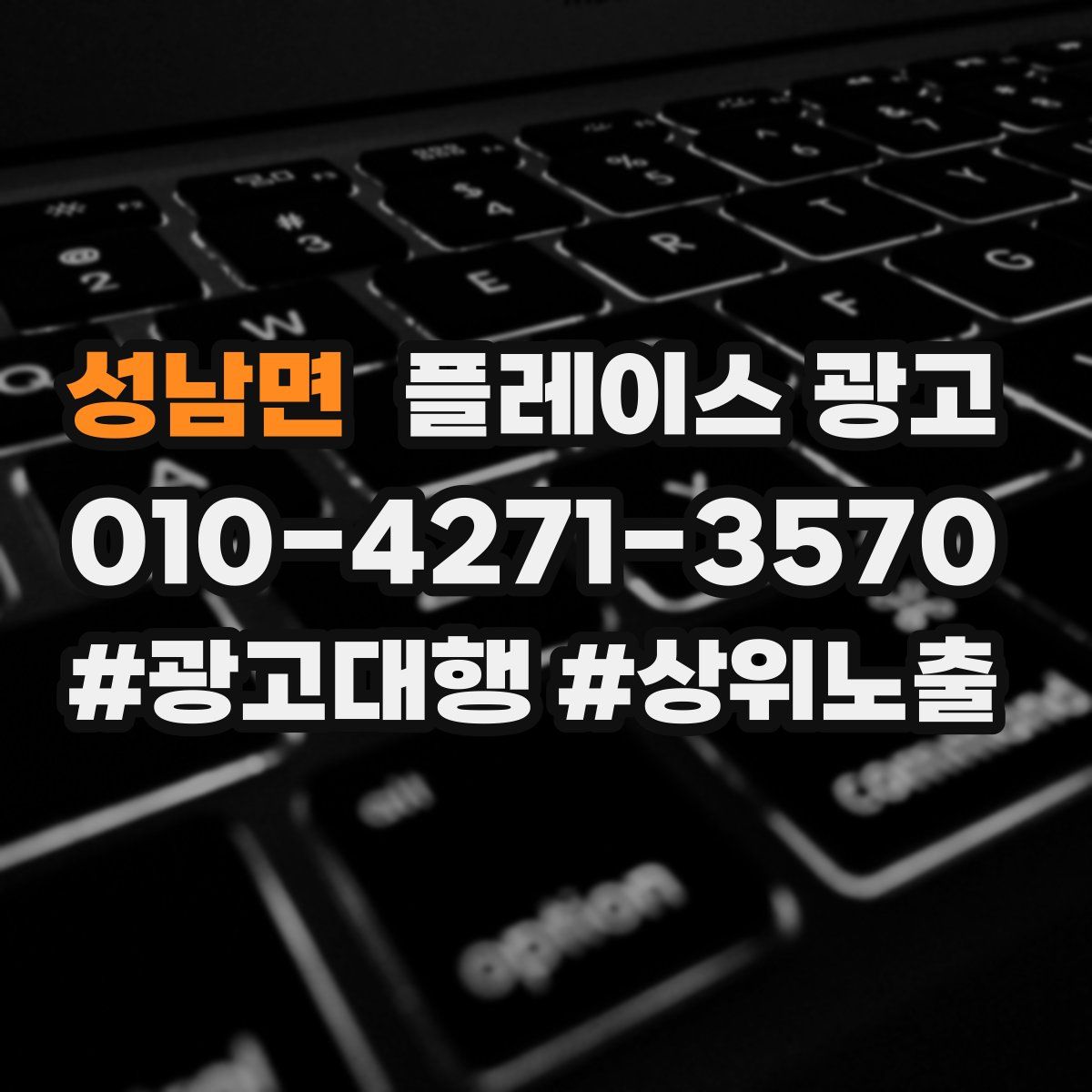 성남면 플레이스 광고
