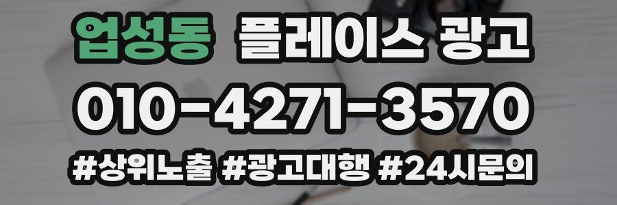 업성동 플레이스 광고