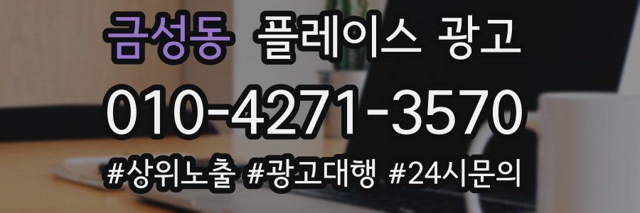 금성동 플레이스 광고