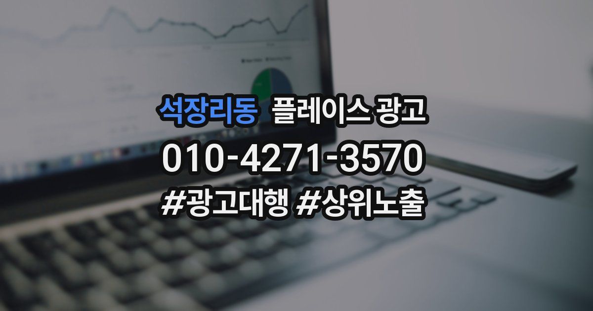 석장리동 플레이스 광고