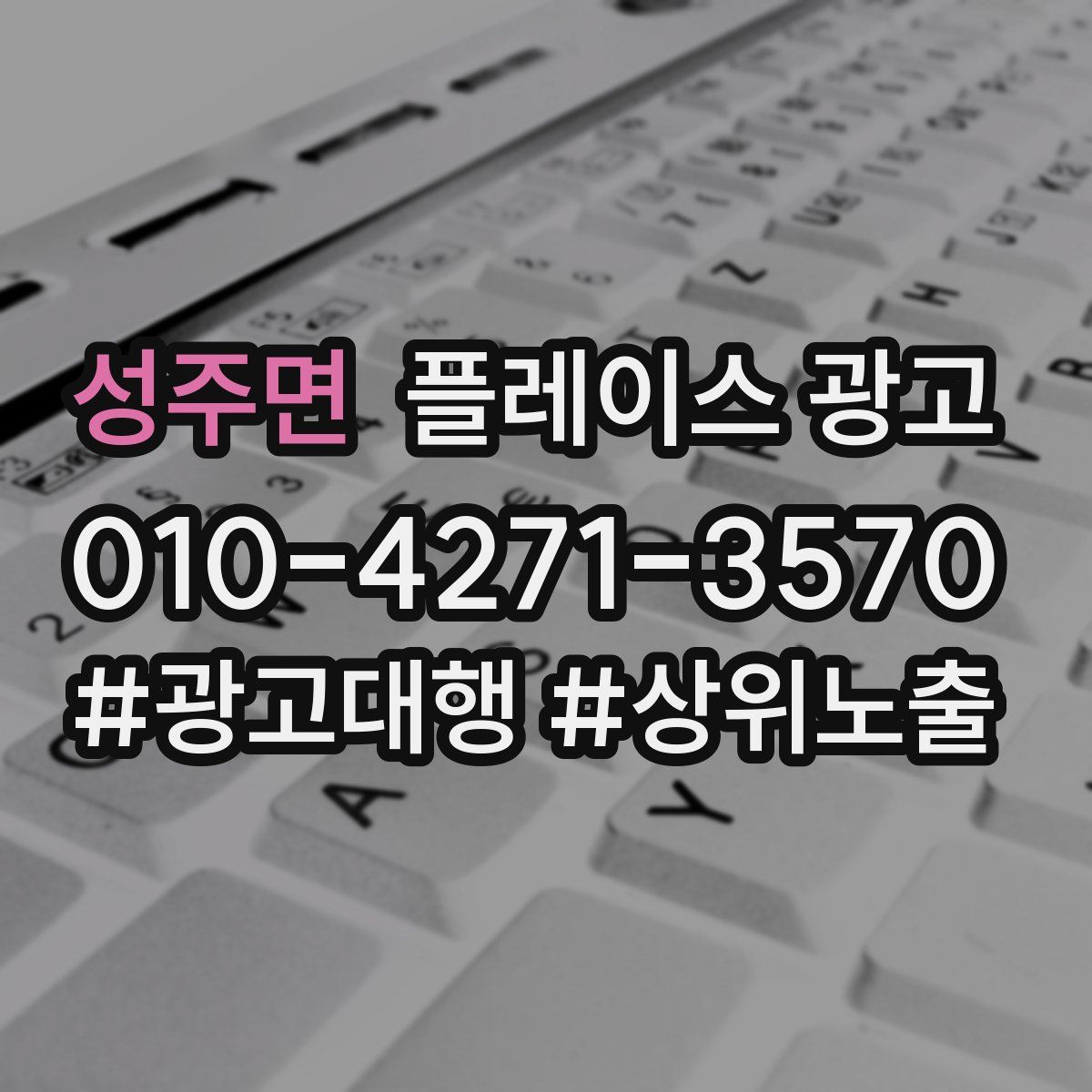 성주면 플레이스 광고
