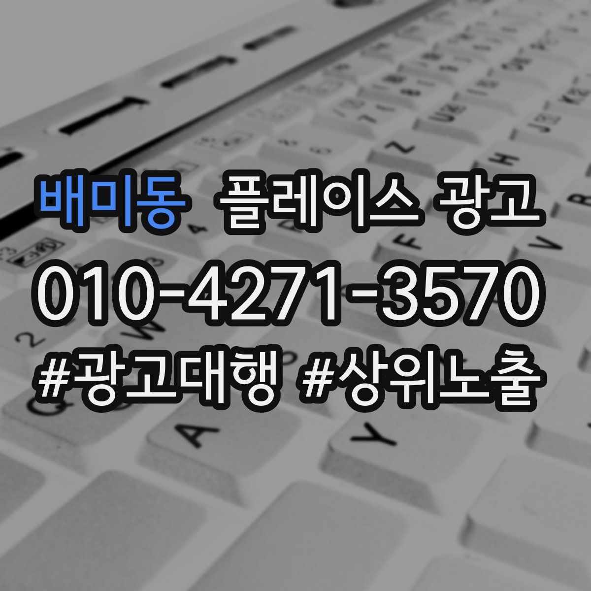 배미동 플레이스 광고