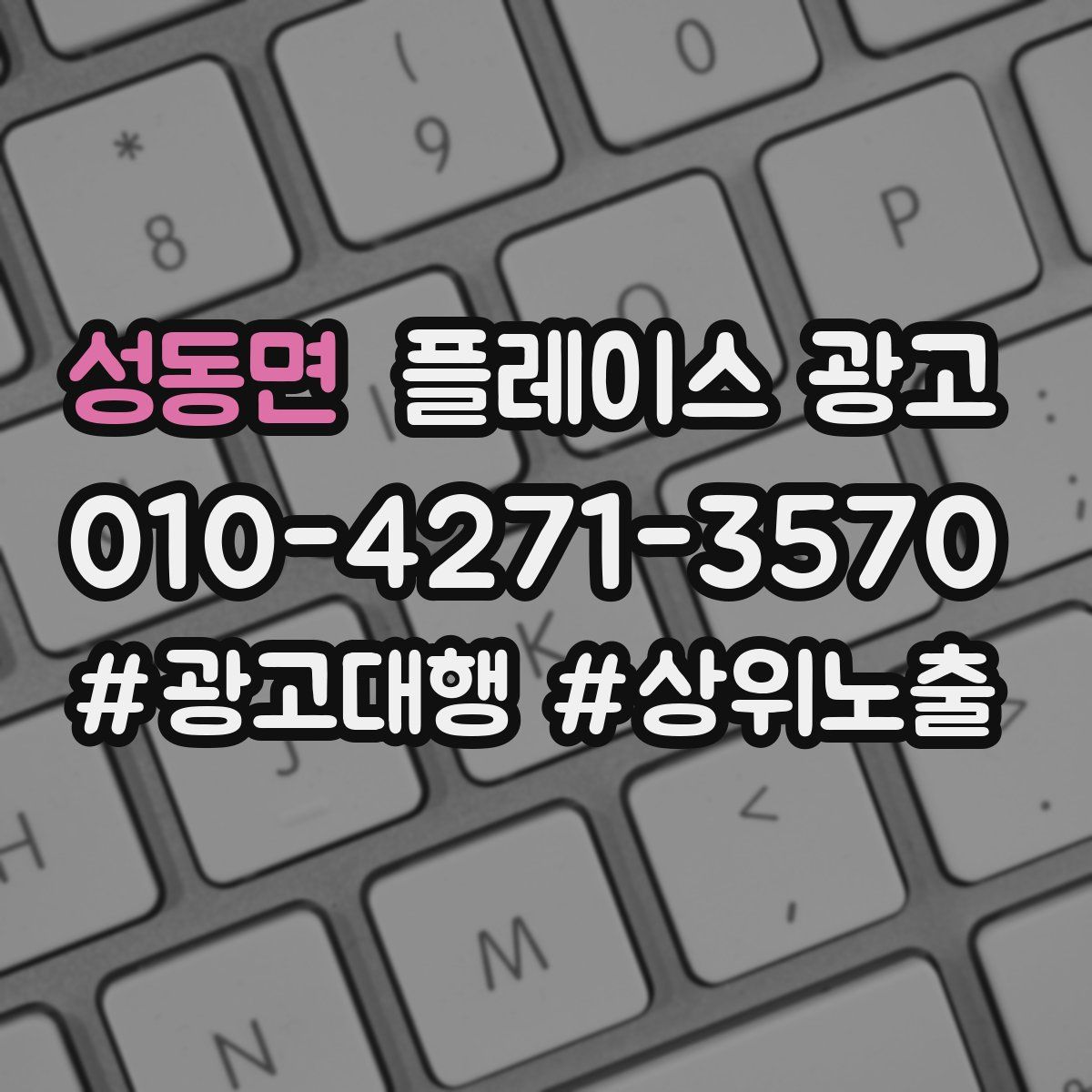 성동면 플레이스 광고