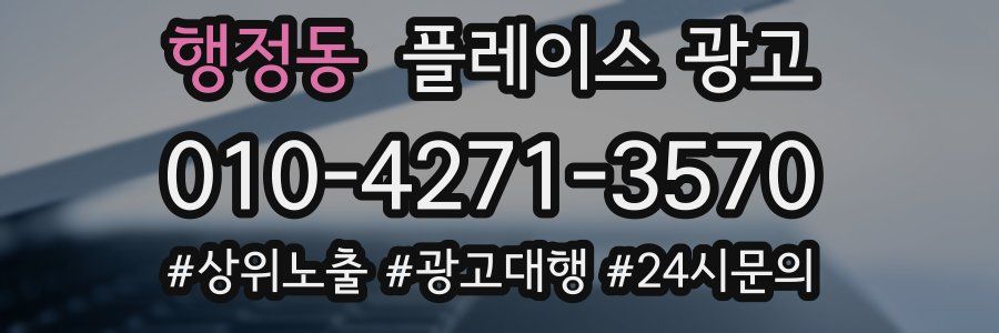 행정동 플레이스 광고
