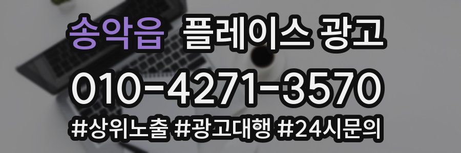 송악읍 플레이스 광고