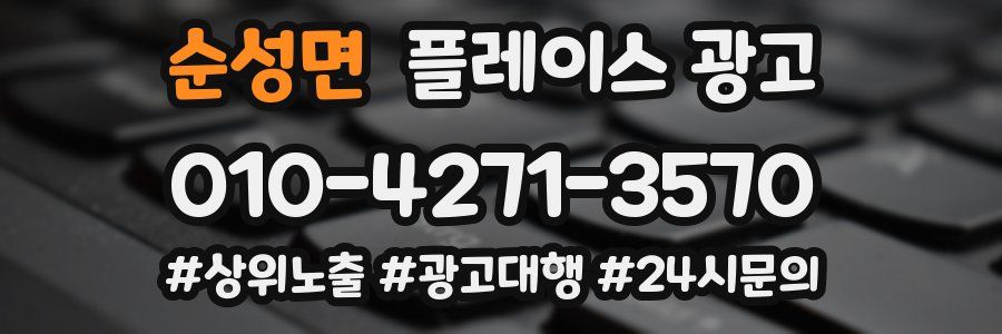 순성면 플레이스 광고