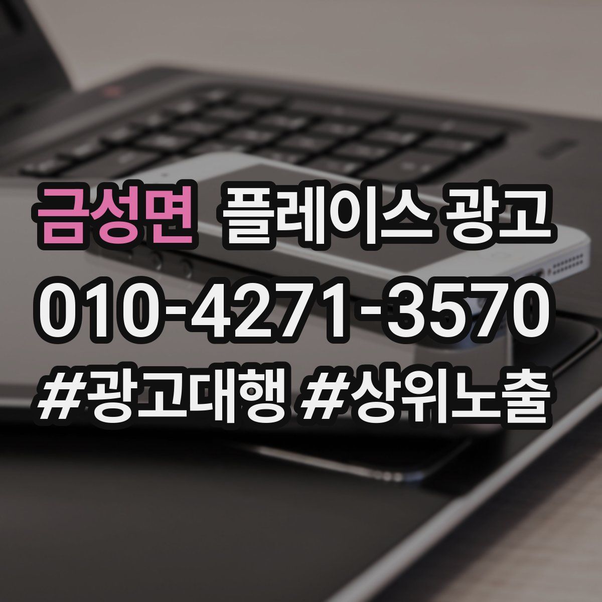금성면 플레이스 광고