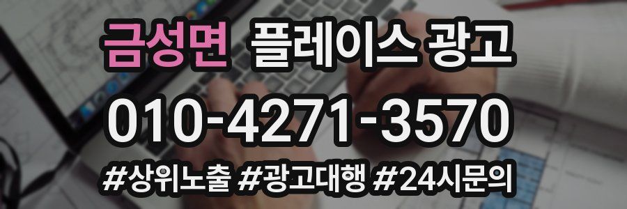 금성면 플레이스 광고