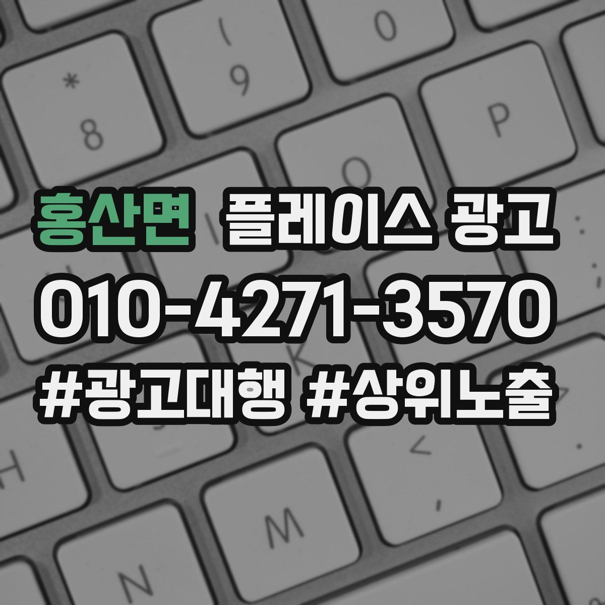 홍산면 플레이스 광고