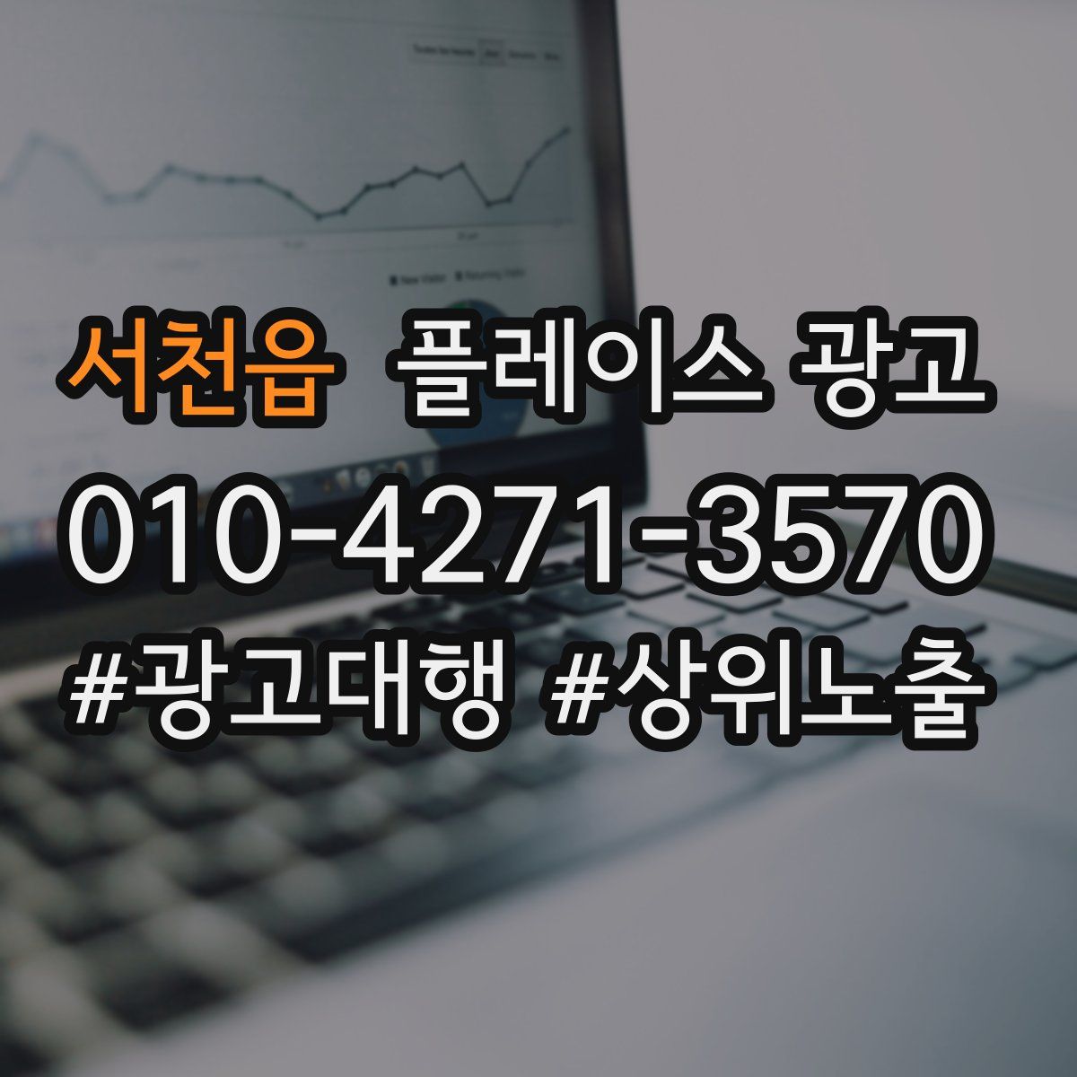 서천읍 플레이스 광고