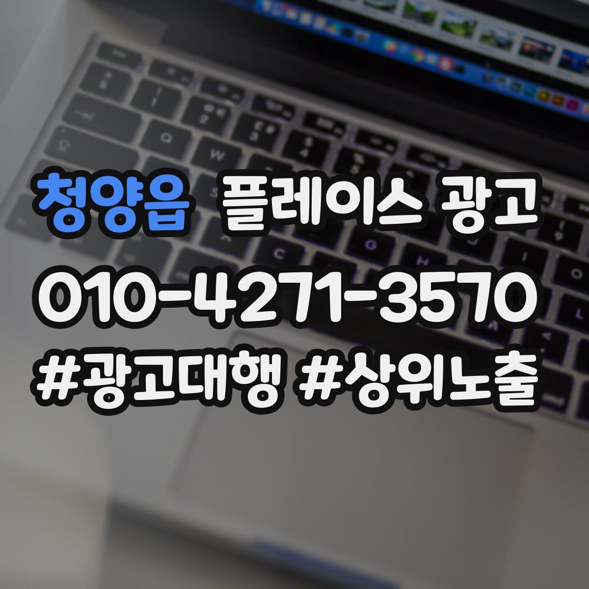 청양읍 플레이스 광고