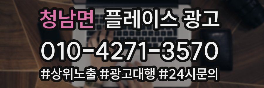 청남면 플레이스 광고