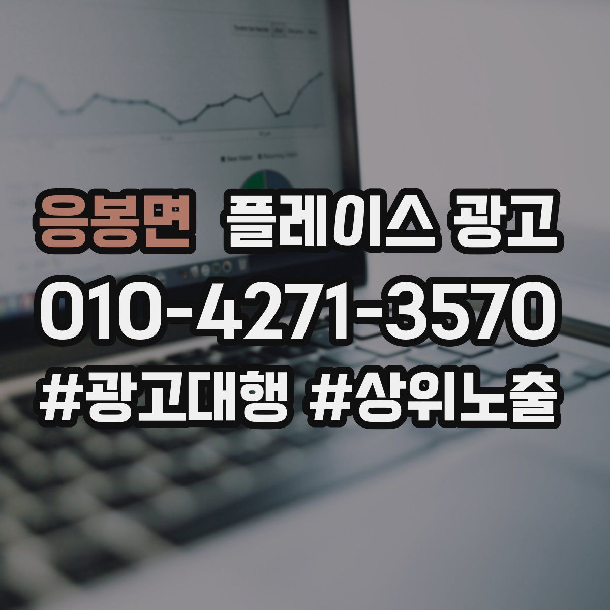 응봉면 플레이스 광고
