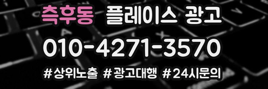 측후동 플레이스 광고