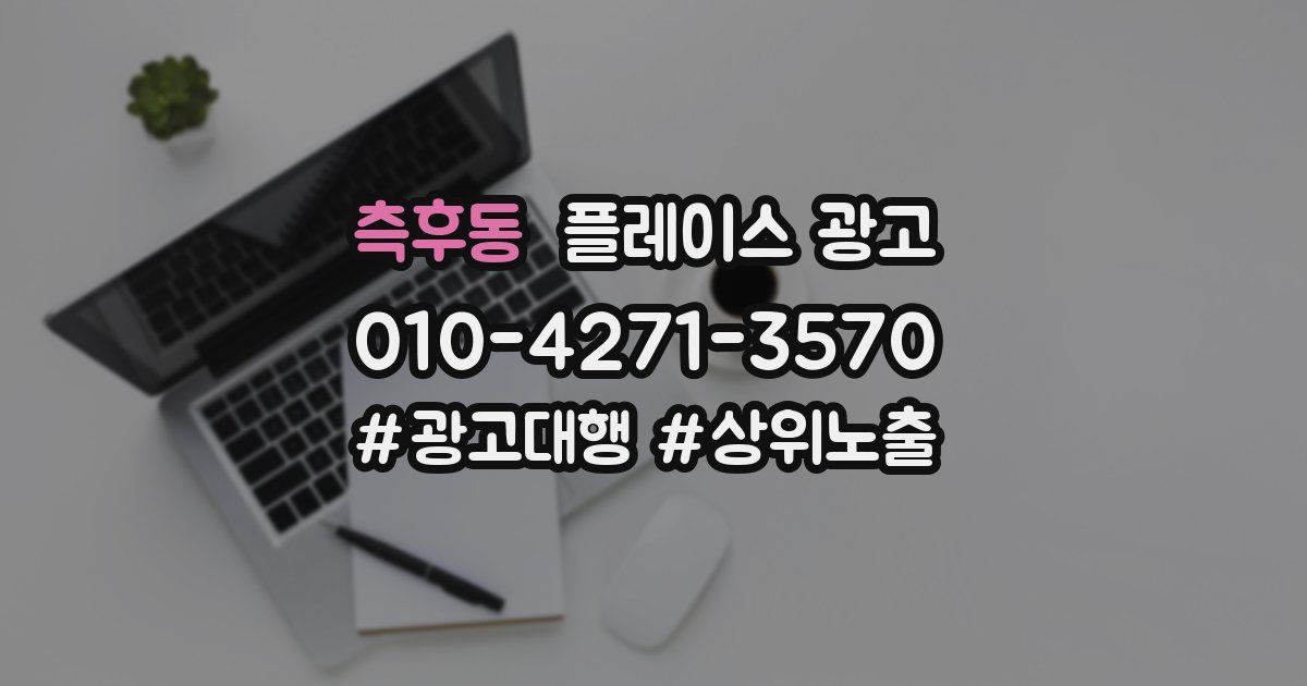 측후동 플레이스 광고